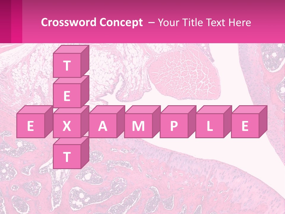 An Image Of A Section Of The Stomach With The Name Of The Organ PowerPoint Template