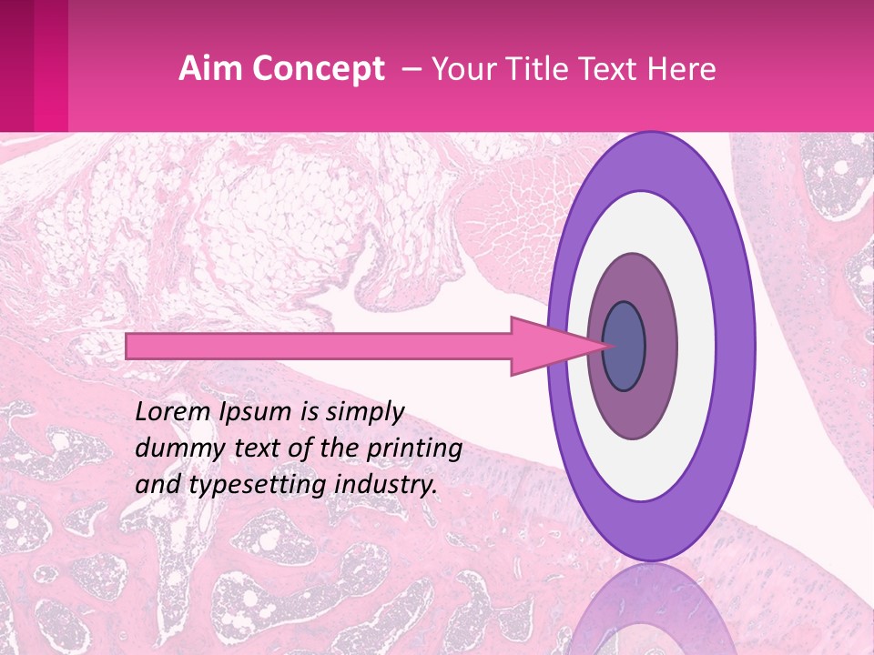 An Image Of A Section Of The Stomach With The Name Of The Organ PowerPoint Template