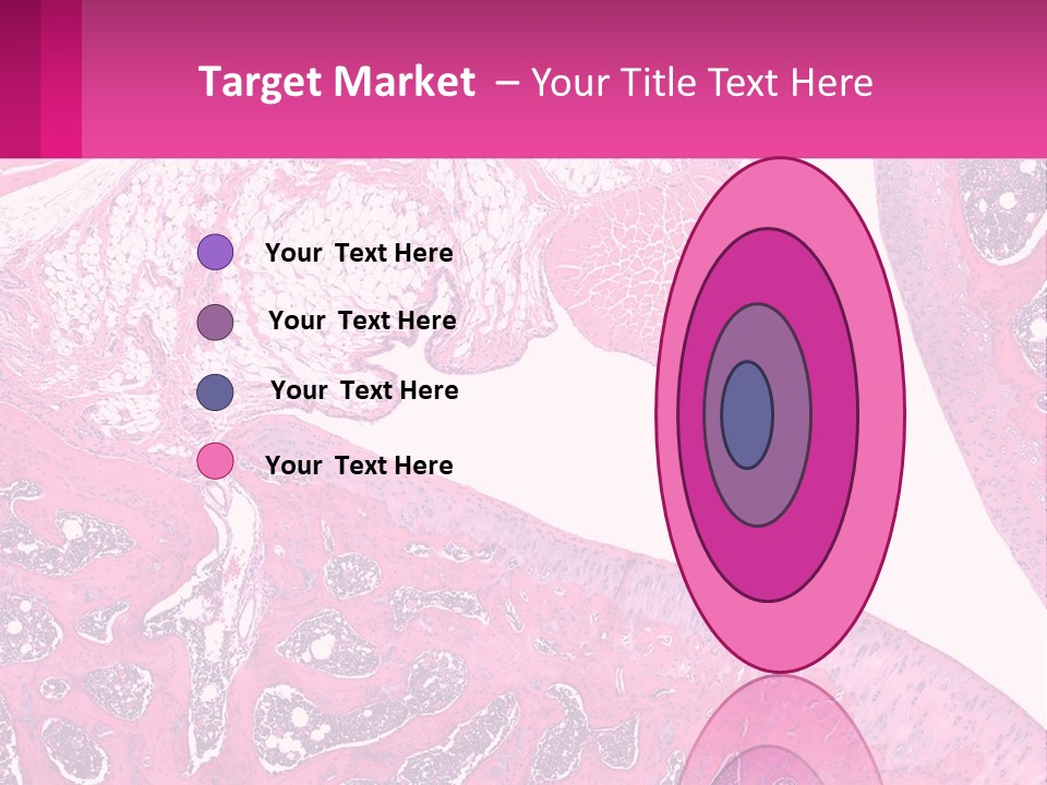 An Image Of A Section Of The Stomach With The Name Of The Organ PowerPoint Template