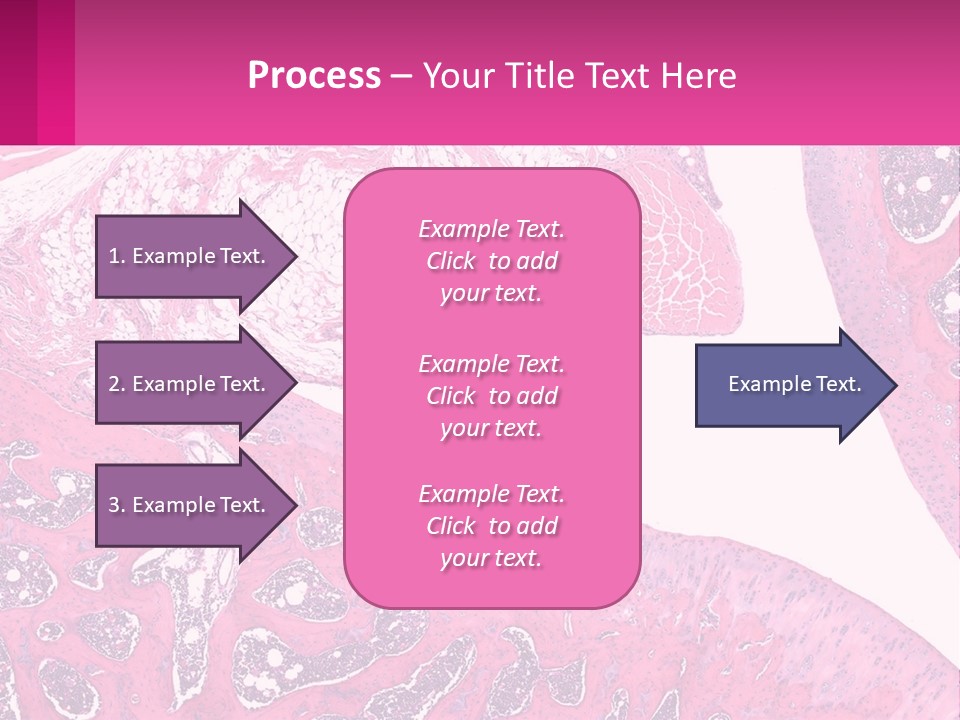 An Image Of A Section Of The Stomach With The Name Of The Organ PowerPoint Template