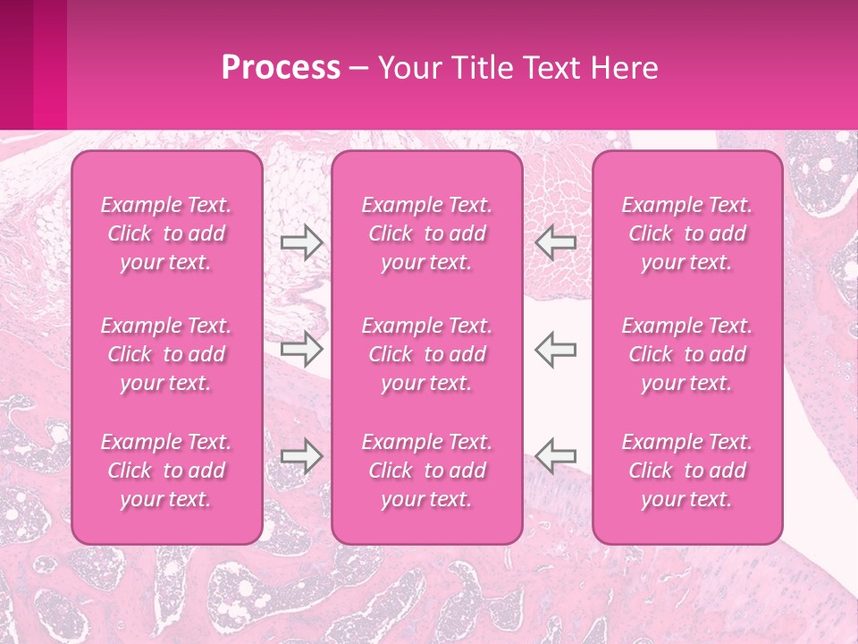 An Image Of A Section Of The Stomach With The Name Of The Organ PowerPoint Template