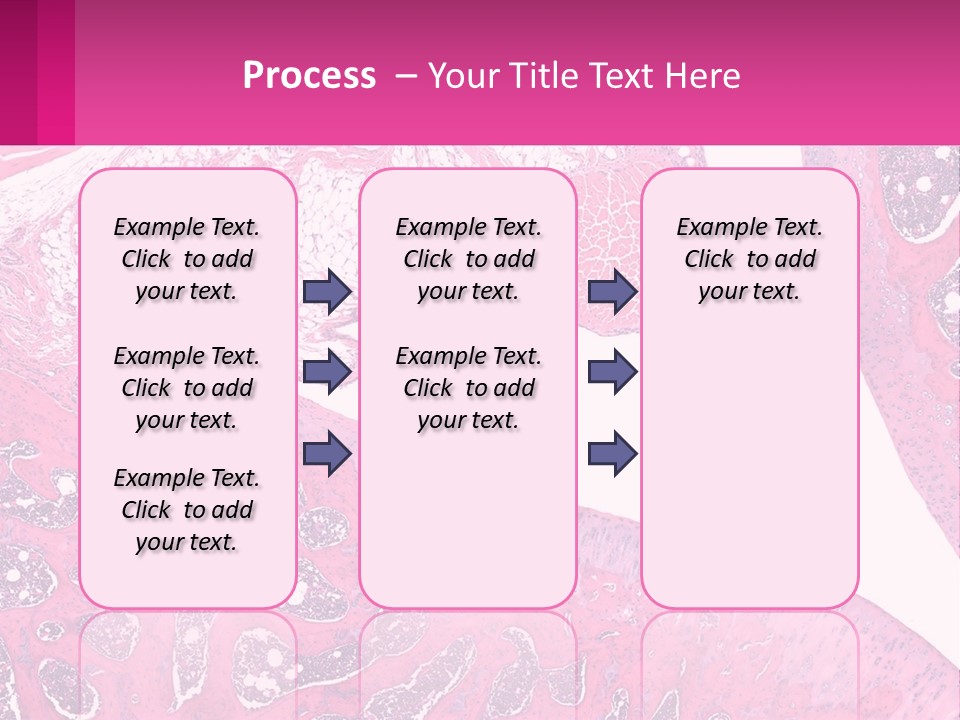 An Image Of A Section Of The Stomach With The Name Of The Organ PowerPoint Template