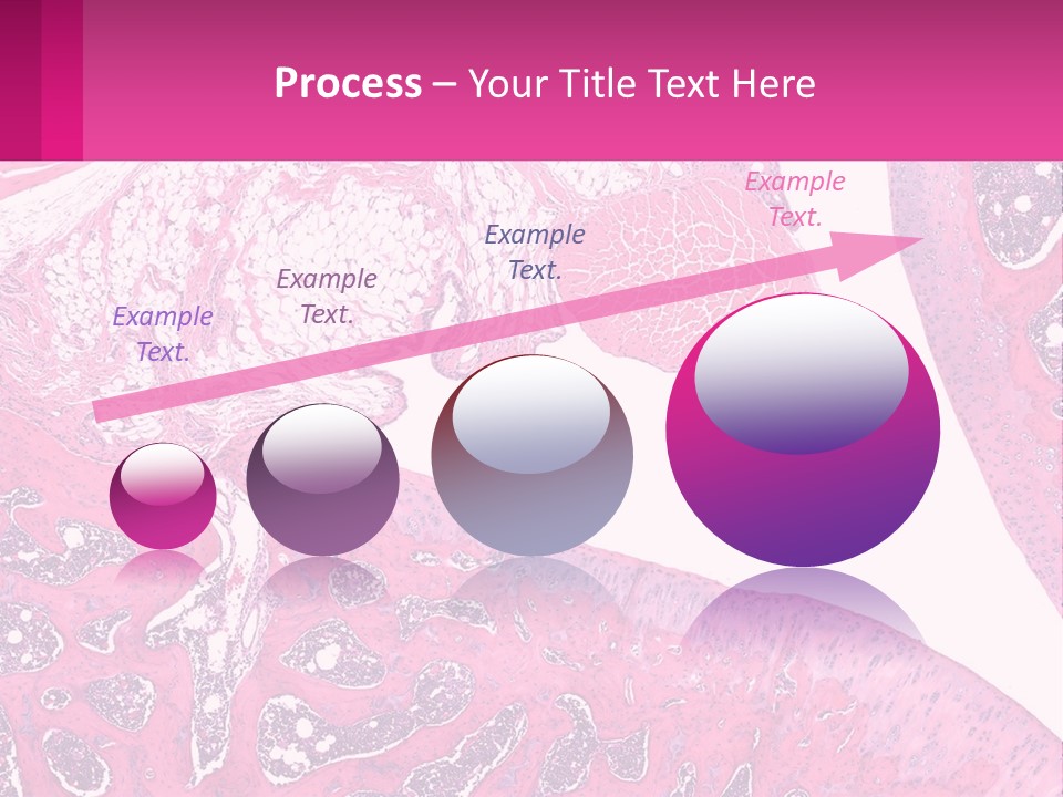 An Image Of A Section Of The Stomach With The Name Of The Organ PowerPoint Template