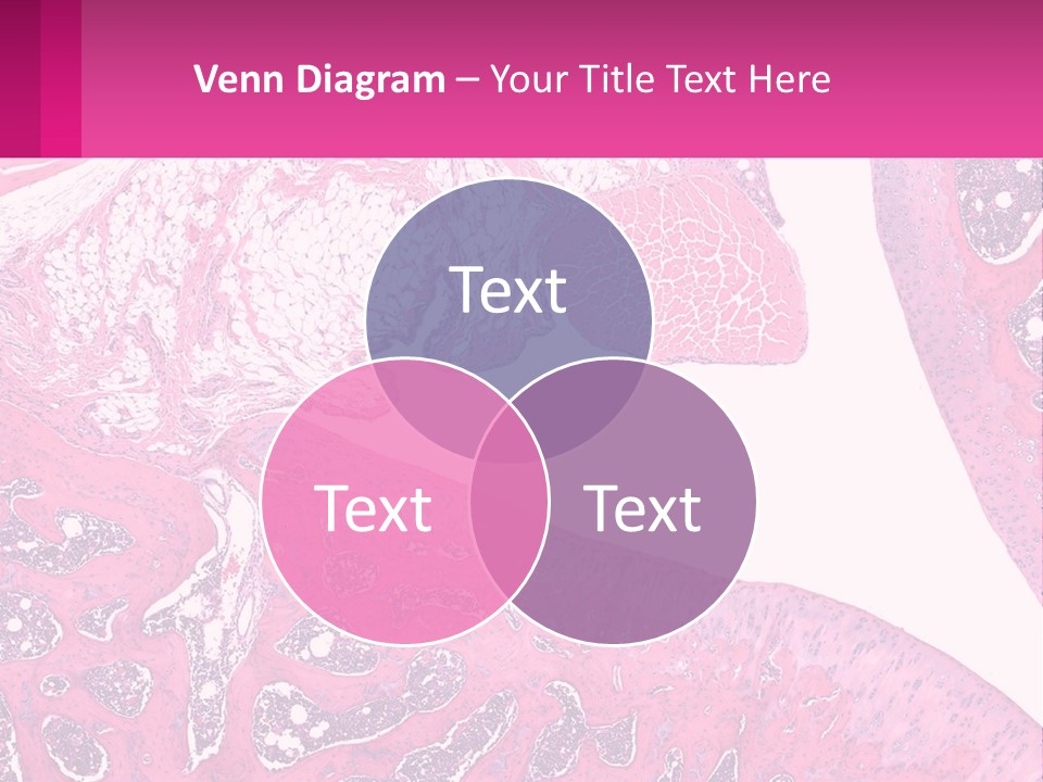 An Image Of A Section Of The Stomach With The Name Of The Organ PowerPoint Template