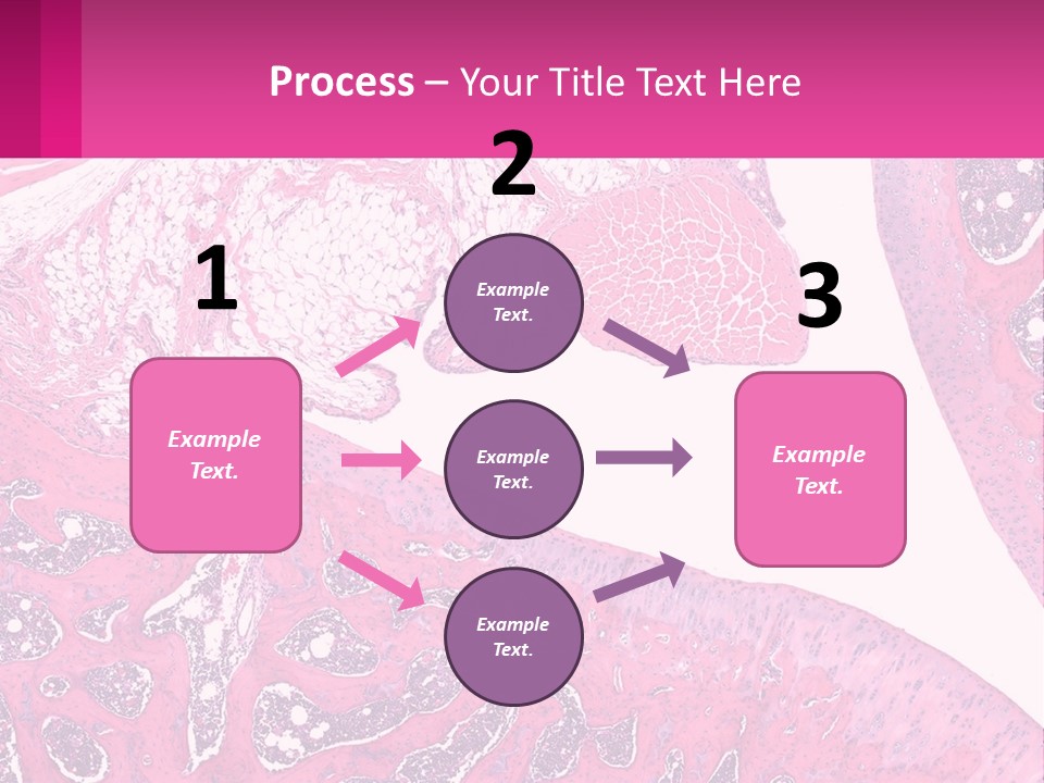 An Image Of A Section Of The Stomach With The Name Of The Organ PowerPoint Template