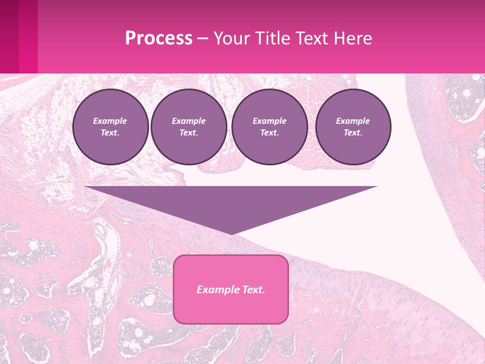 An Image Of A Section Of The Stomach With The Name Of The Organ PowerPoint Template