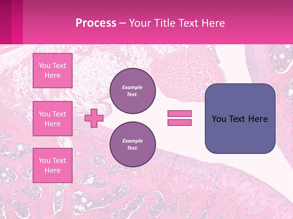 An Image Of A Section Of The Stomach With The Name Of The Organ PowerPoint Template