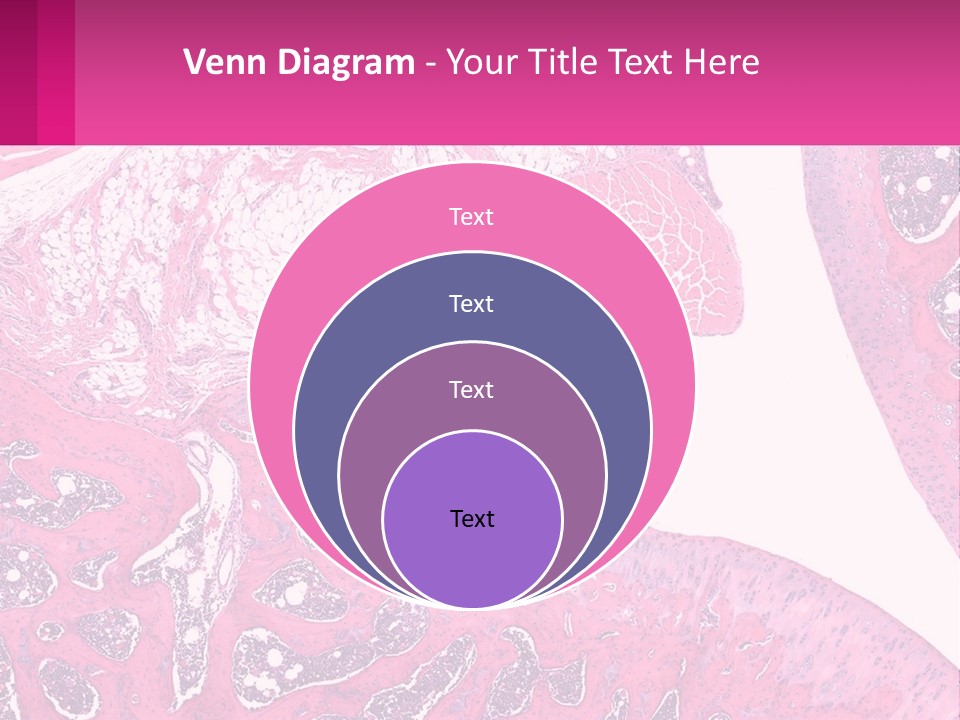 An Image Of A Section Of The Stomach With The Name Of The Organ PowerPoint Template