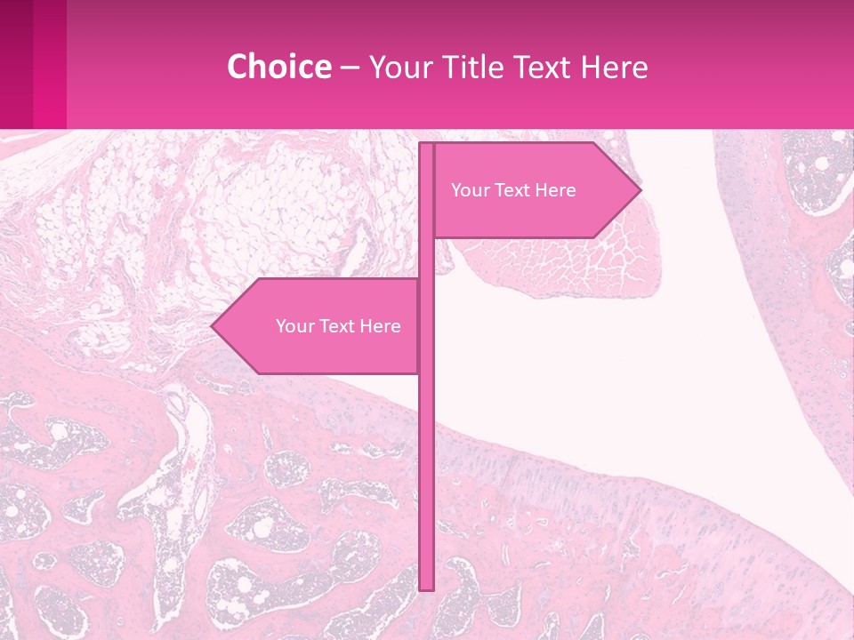 An Image Of A Section Of The Stomach With The Name Of The Organ PowerPoint Template