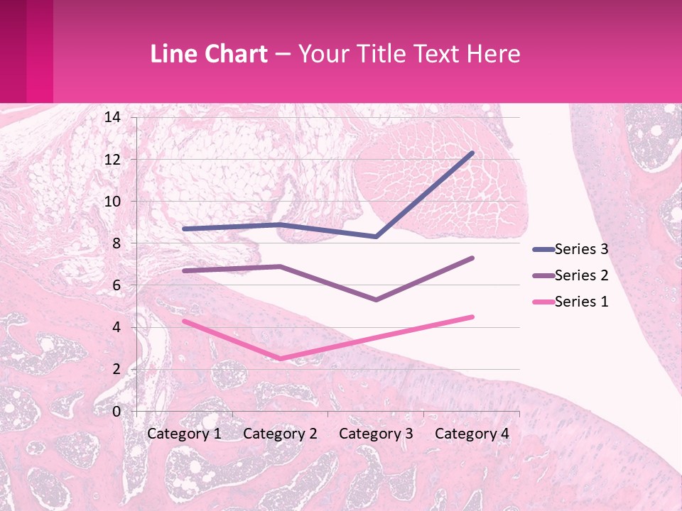 An Image Of A Section Of The Stomach With The Name Of The Organ PowerPoint Template