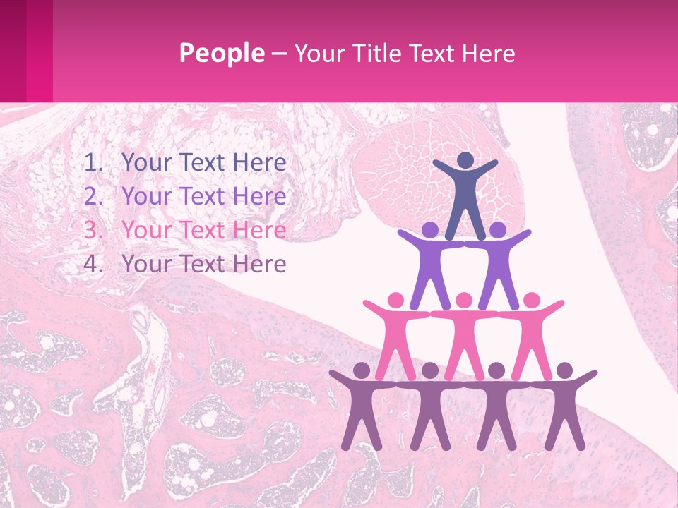 An Image Of A Section Of The Stomach With The Name Of The Organ PowerPoint Template