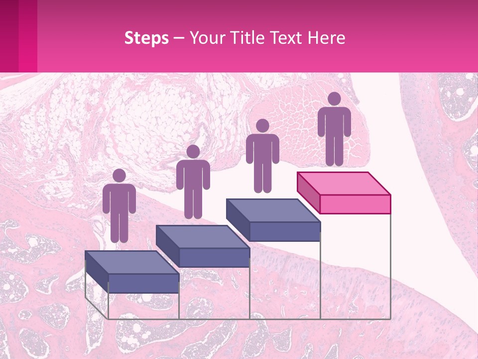 An Image Of A Section Of The Stomach With The Name Of The Organ PowerPoint Template