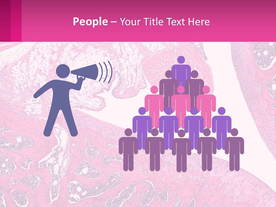 An Image Of A Section Of The Stomach With The Name Of The Organ PowerPoint Template