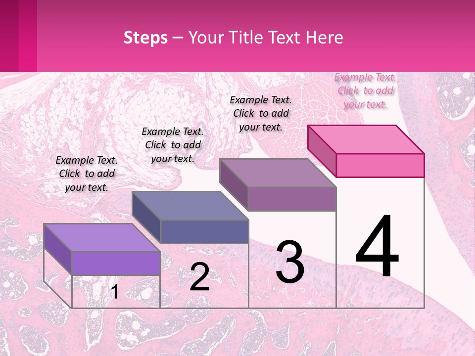 An Image Of A Section Of The Stomach With The Name Of The Organ PowerPoint Template