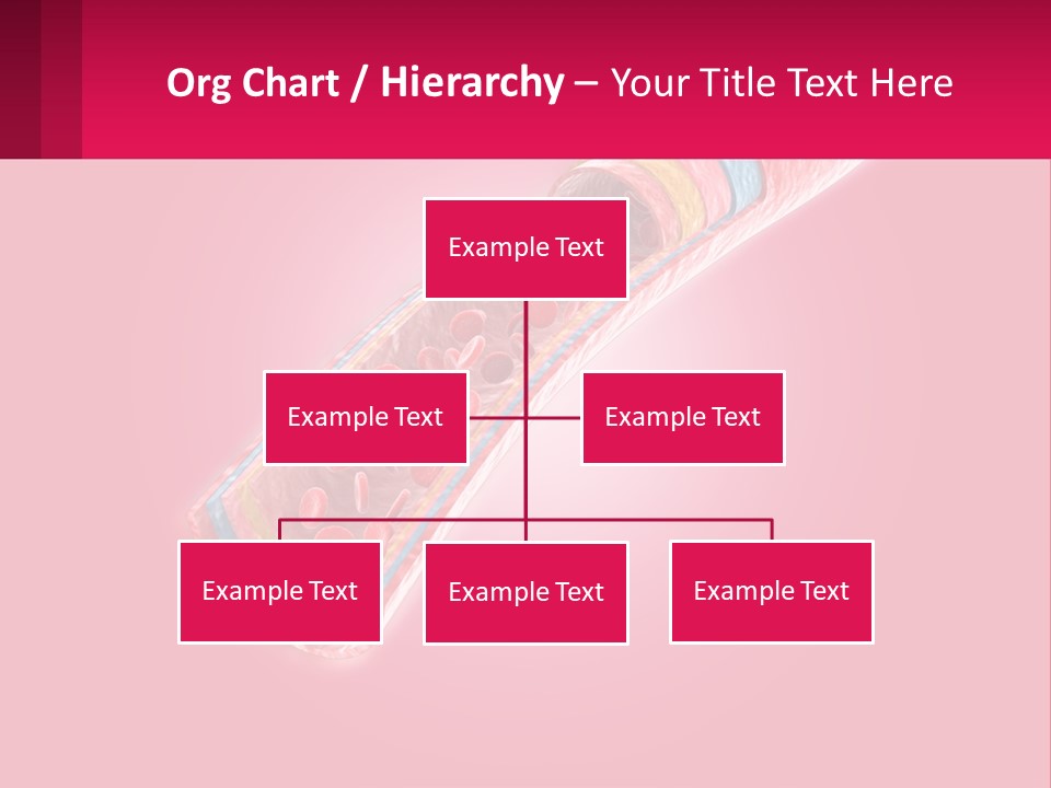 A Medical Powerpoint Presentation Is Shown PowerPoint Template