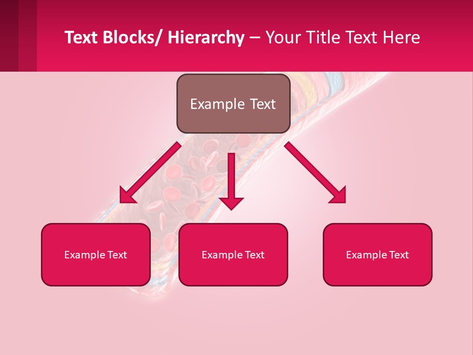 A Medical Powerpoint Presentation Is Shown PowerPoint Template