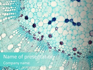 A Blue And White Abstract Background With Bubbles PowerPoint Template