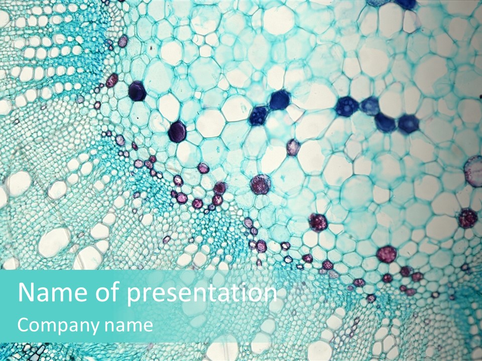 A Blue And White Abstract Background With Bubbles PowerPoint Template