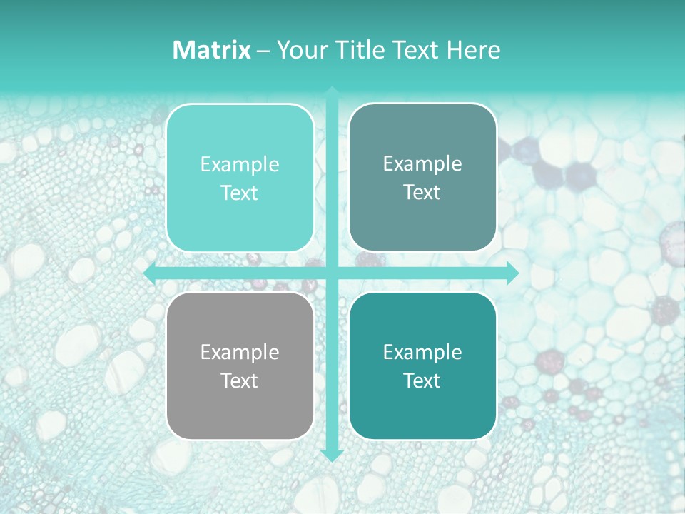 A Blue And White Abstract Background With Bubbles PowerPoint Template