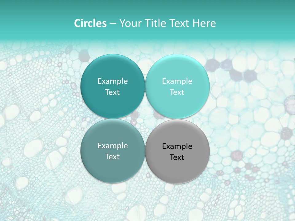 A Blue And White Abstract Background With Bubbles PowerPoint Template