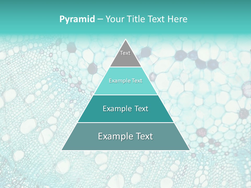 A Blue And White Abstract Background With Bubbles PowerPoint Template