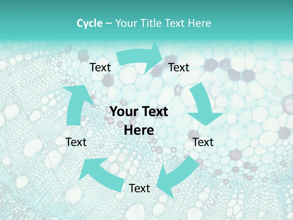 A Blue And White Abstract Background With Bubbles PowerPoint Template