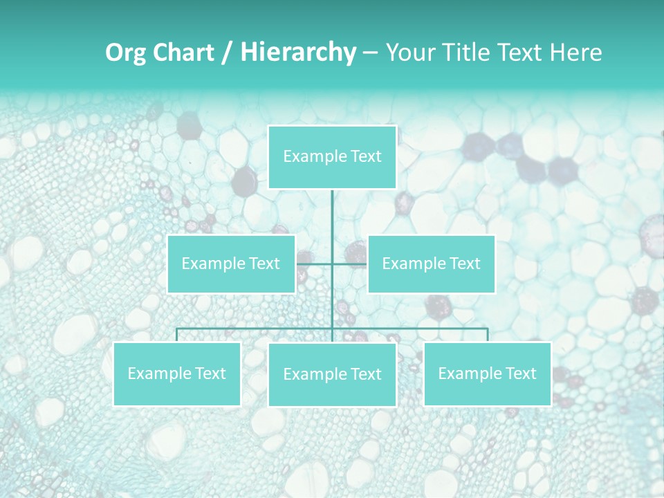 A Blue And White Abstract Background With Bubbles PowerPoint Template