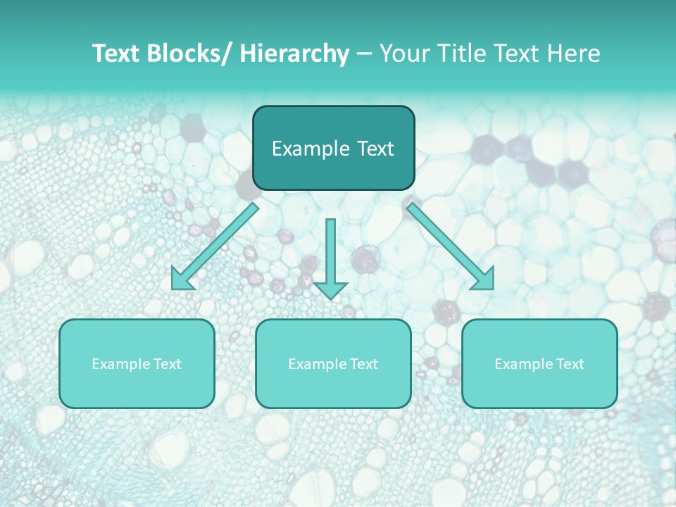 A Blue And White Abstract Background With Bubbles PowerPoint Template