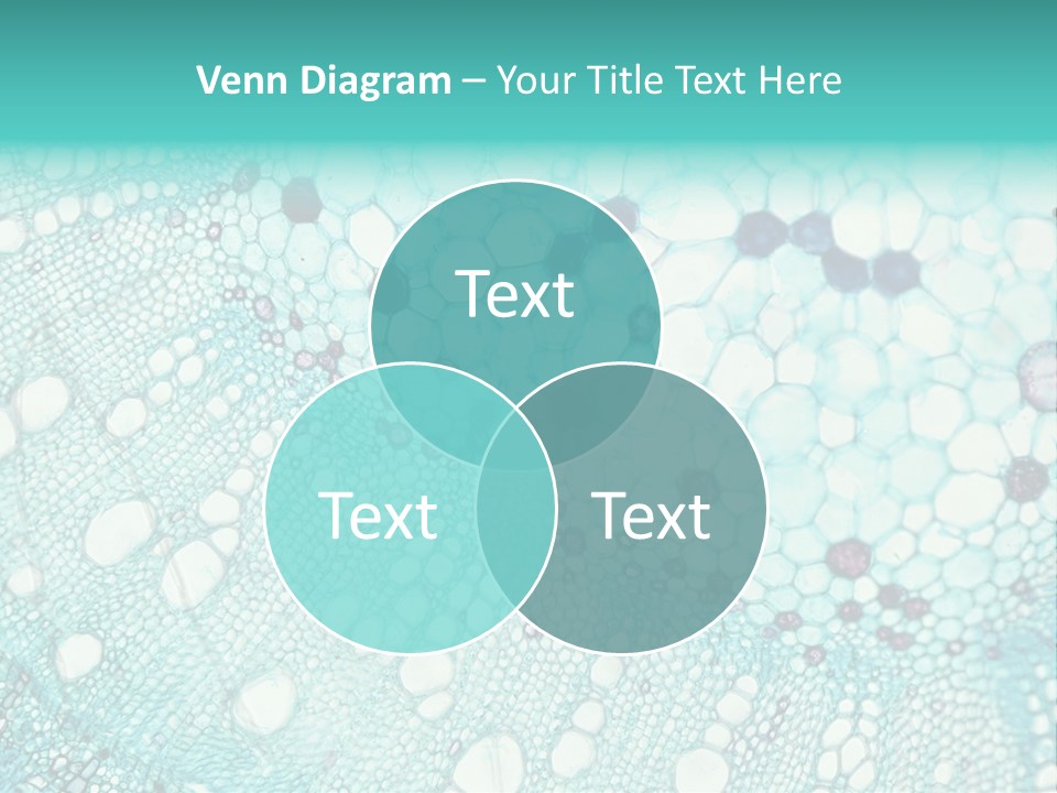 A Blue And White Abstract Background With Bubbles PowerPoint Template