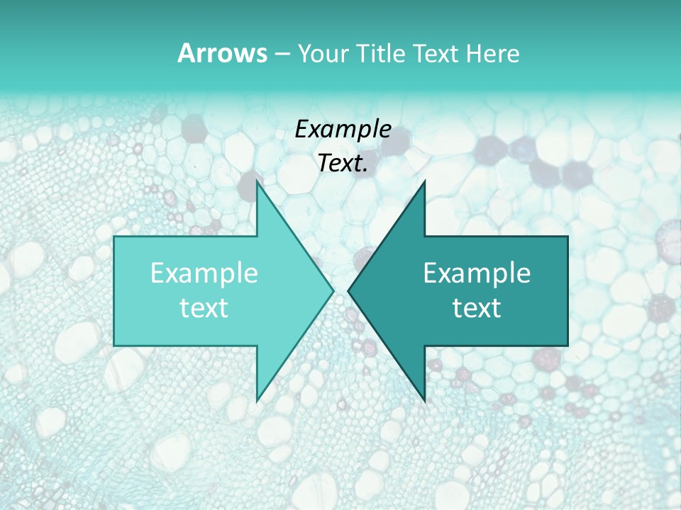 A Blue And White Abstract Background With Bubbles PowerPoint Template