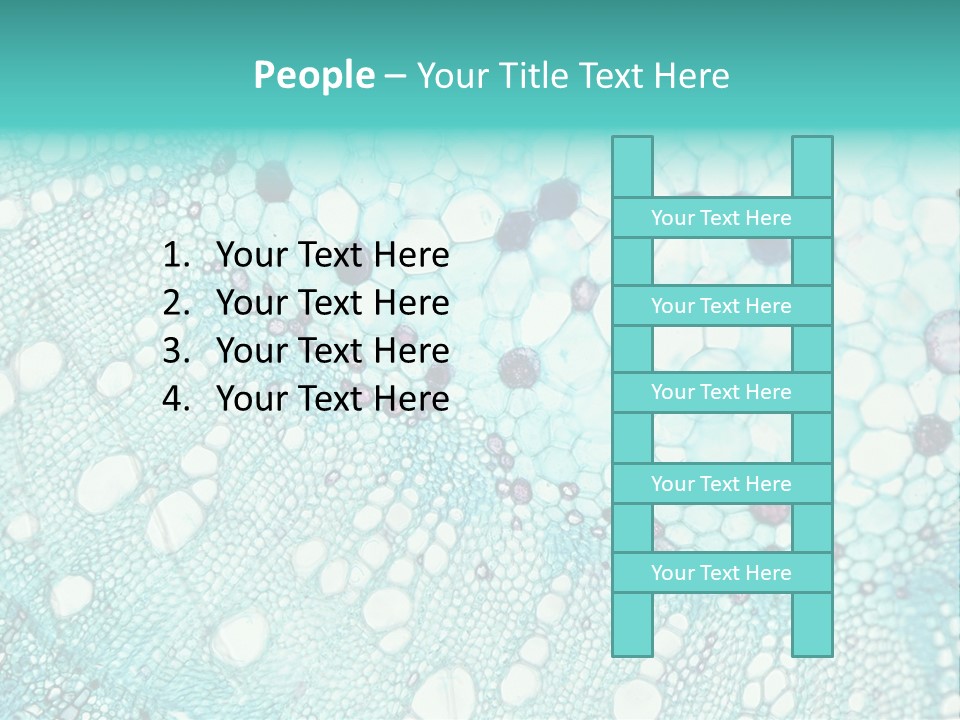 A Blue And White Abstract Background With Bubbles PowerPoint Template