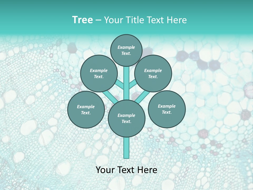 A Blue And White Abstract Background With Bubbles PowerPoint Template