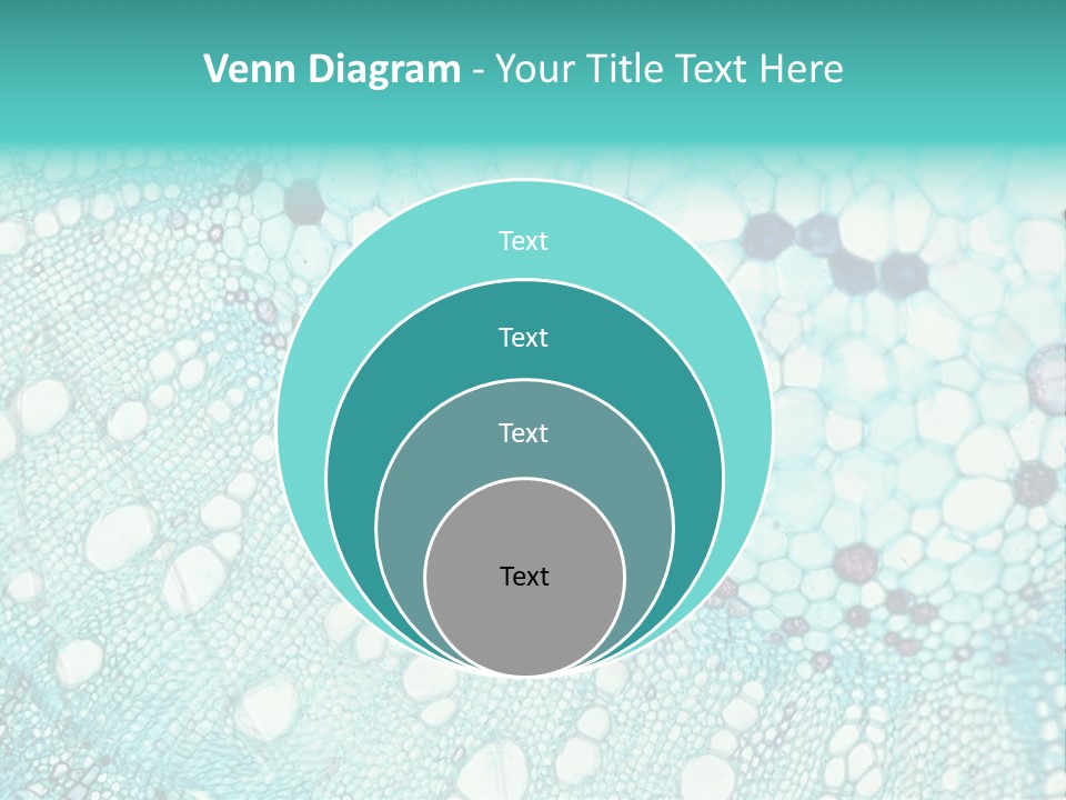 A Blue And White Abstract Background With Bubbles PowerPoint Template