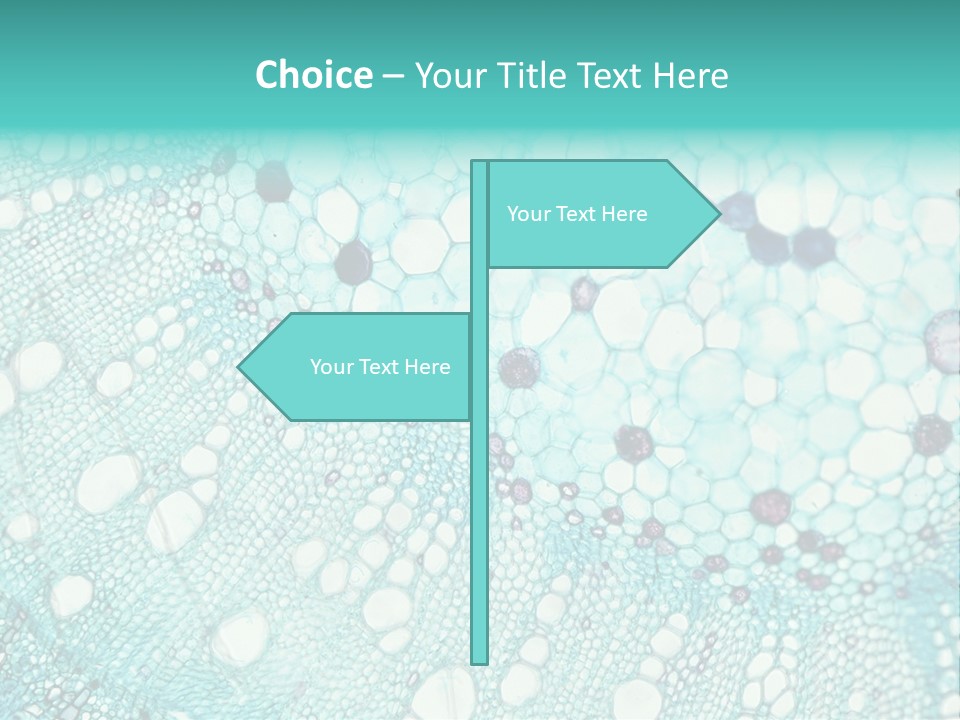 A Blue And White Abstract Background With Bubbles PowerPoint Template