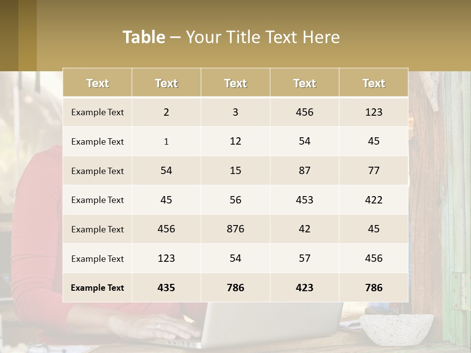 A Woman Sitting In Front Of A Laptop Computer PowerPoint Template