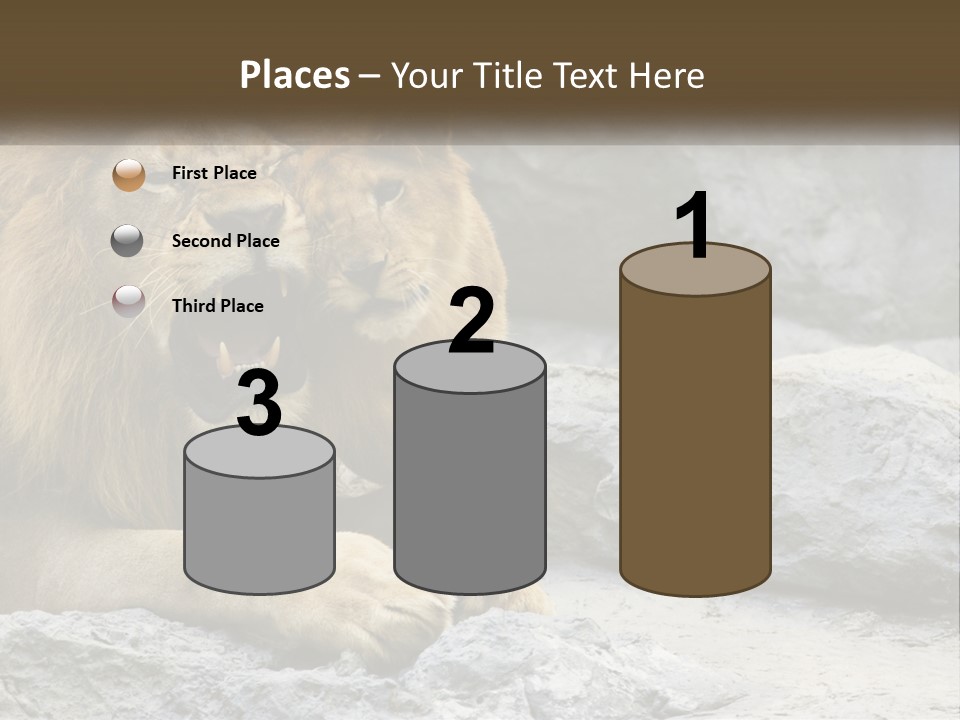 A Couple Of Lions Sitting On Top Of A Rock PowerPoint Template