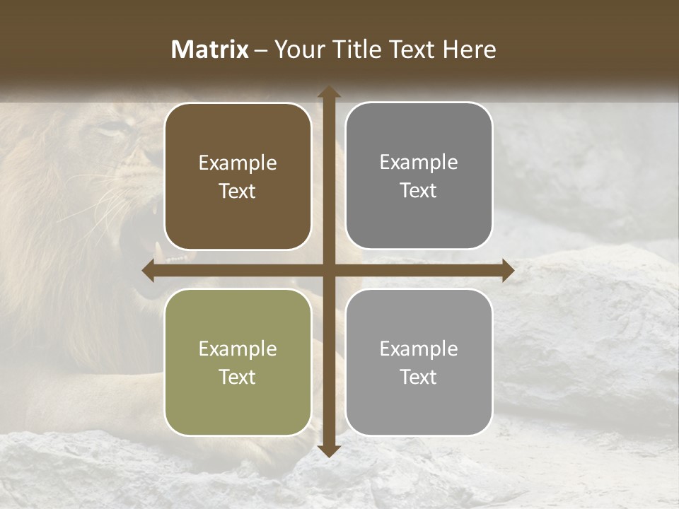 A Couple Of Lions Sitting On Top Of A Rock PowerPoint Template