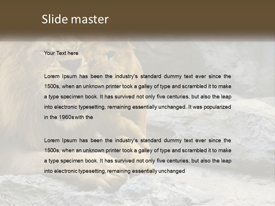 A Couple Of Lions Sitting On Top Of A Rock PowerPoint Template