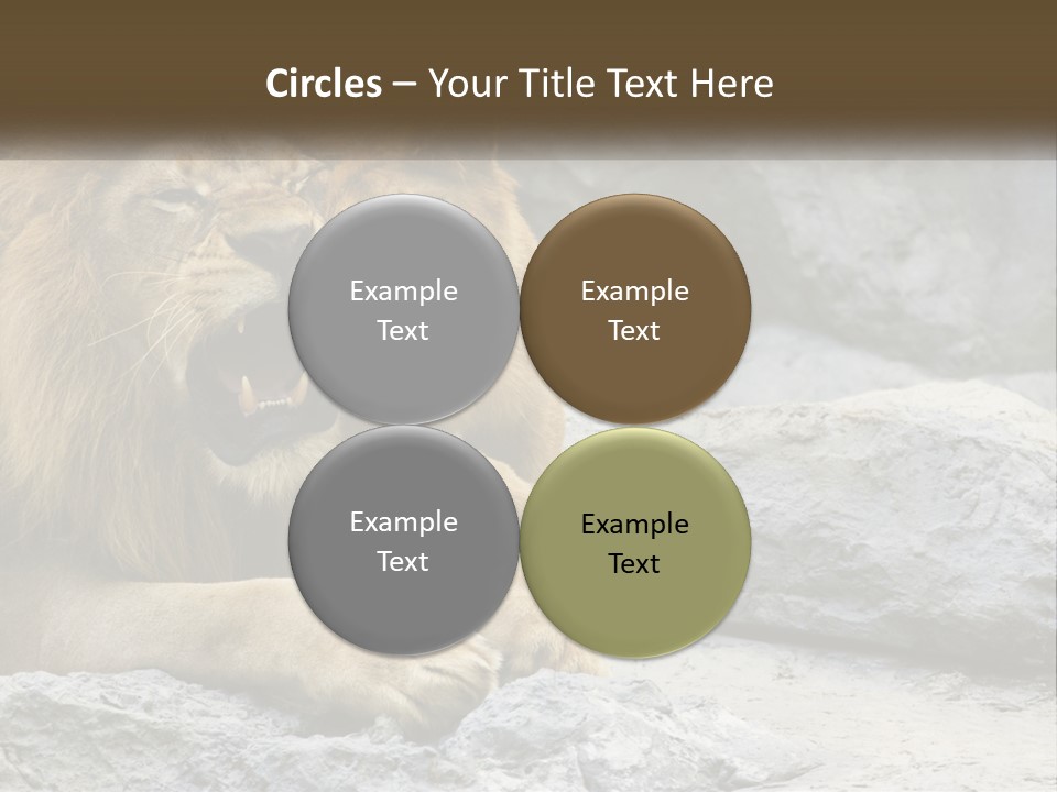 A Couple Of Lions Sitting On Top Of A Rock PowerPoint Template