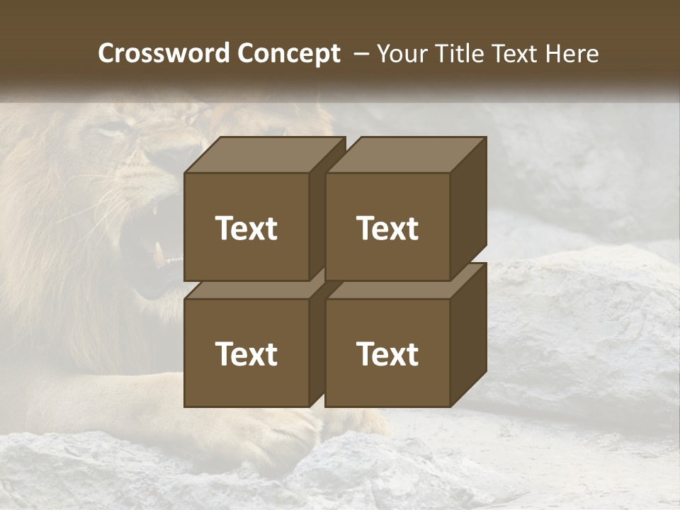 A Couple Of Lions Sitting On Top Of A Rock PowerPoint Template