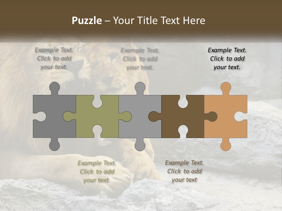 A Couple Of Lions Sitting On Top Of A Rock PowerPoint Template