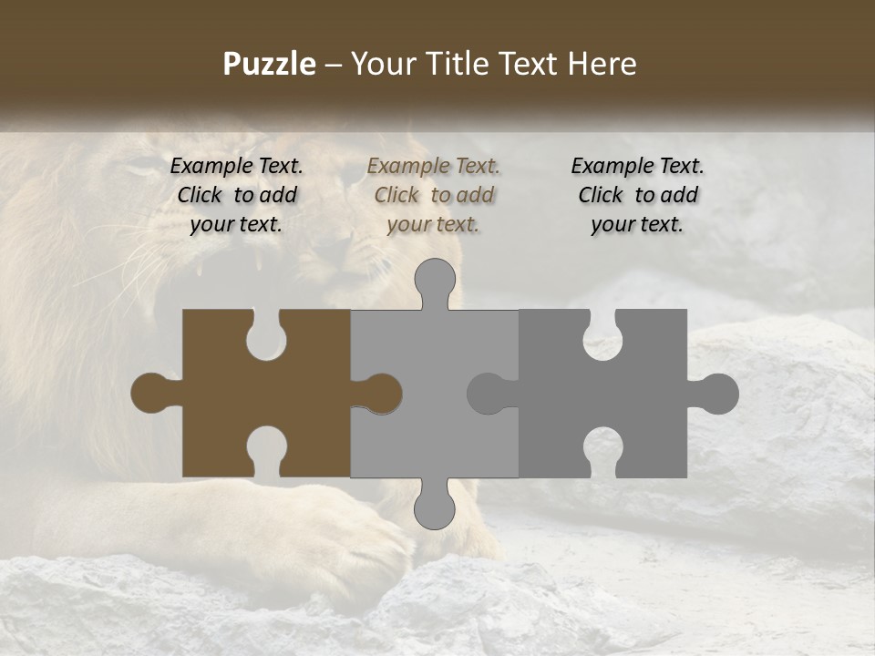 A Couple Of Lions Sitting On Top Of A Rock PowerPoint Template