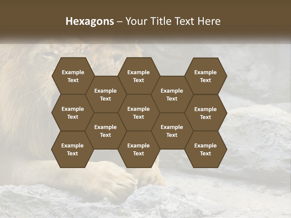 A Couple Of Lions Sitting On Top Of A Rock PowerPoint Template