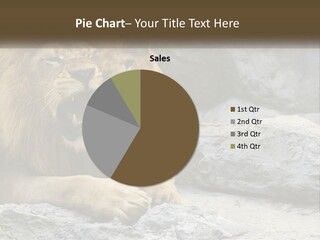 A Couple Of Lions Sitting On Top Of A Rock PowerPoint Template