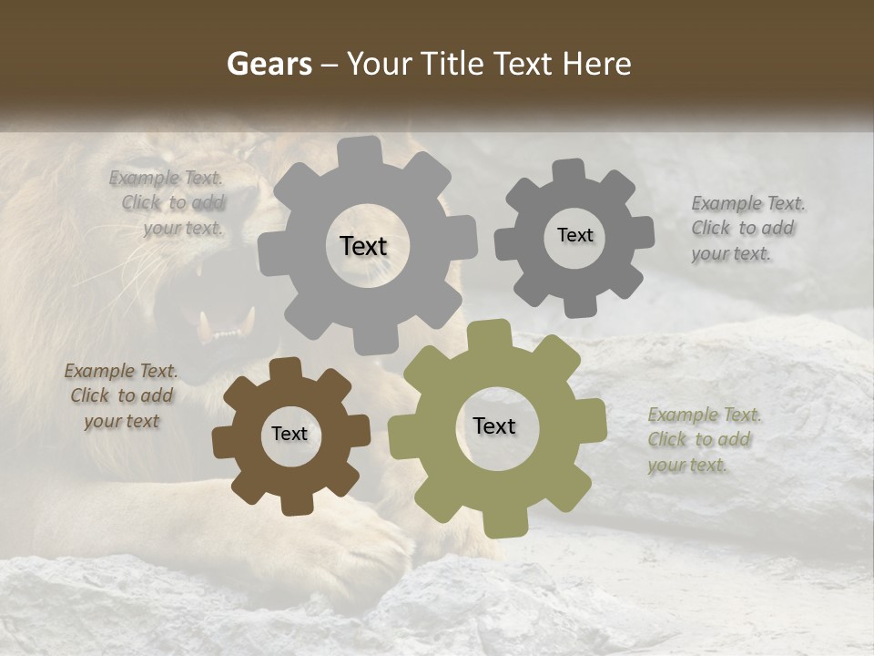 A Couple Of Lions Sitting On Top Of A Rock PowerPoint Template