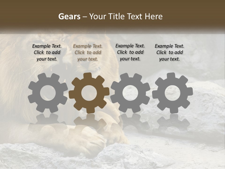 A Couple Of Lions Sitting On Top Of A Rock PowerPoint Template