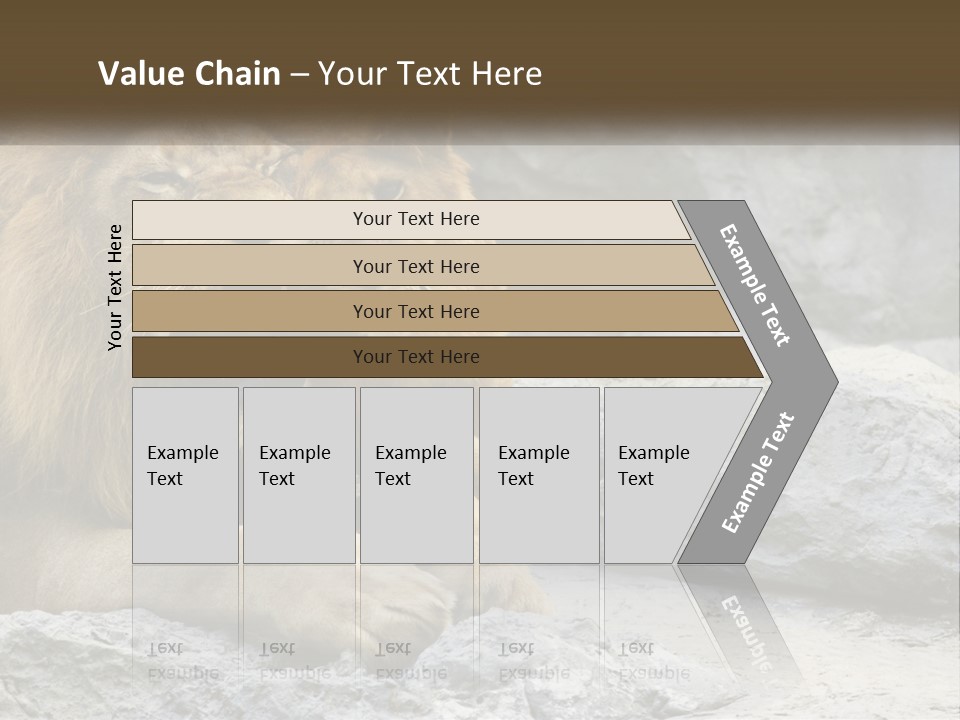 A Couple Of Lions Sitting On Top Of A Rock PowerPoint Template