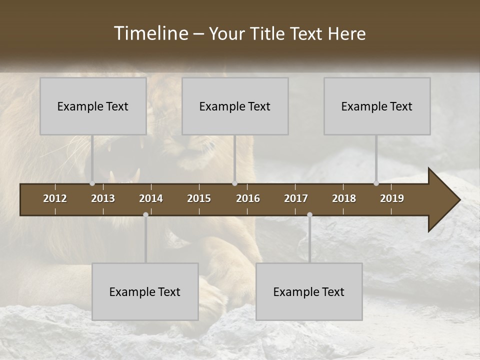 A Couple Of Lions Sitting On Top Of A Rock PowerPoint Template