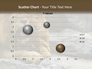 A Couple Of Lions Sitting On Top Of A Rock PowerPoint Template