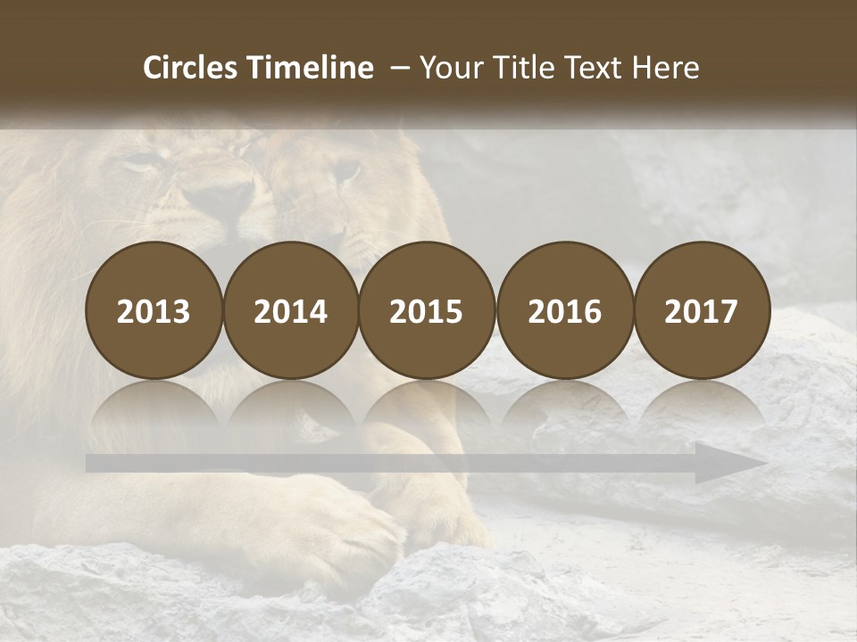 A Couple Of Lions Sitting On Top Of A Rock PowerPoint Template